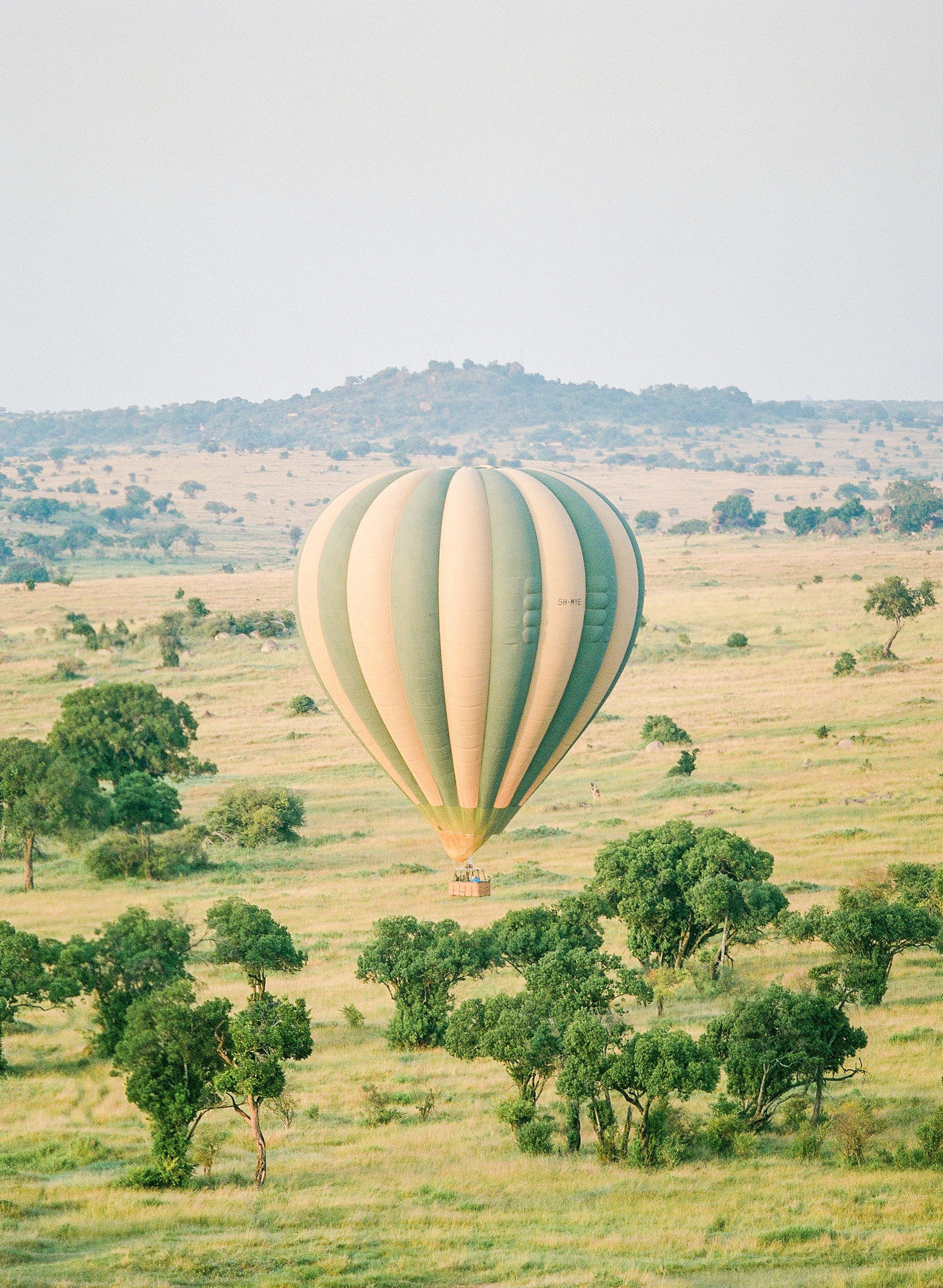 Hot Air Balloon Safari in Tarangire