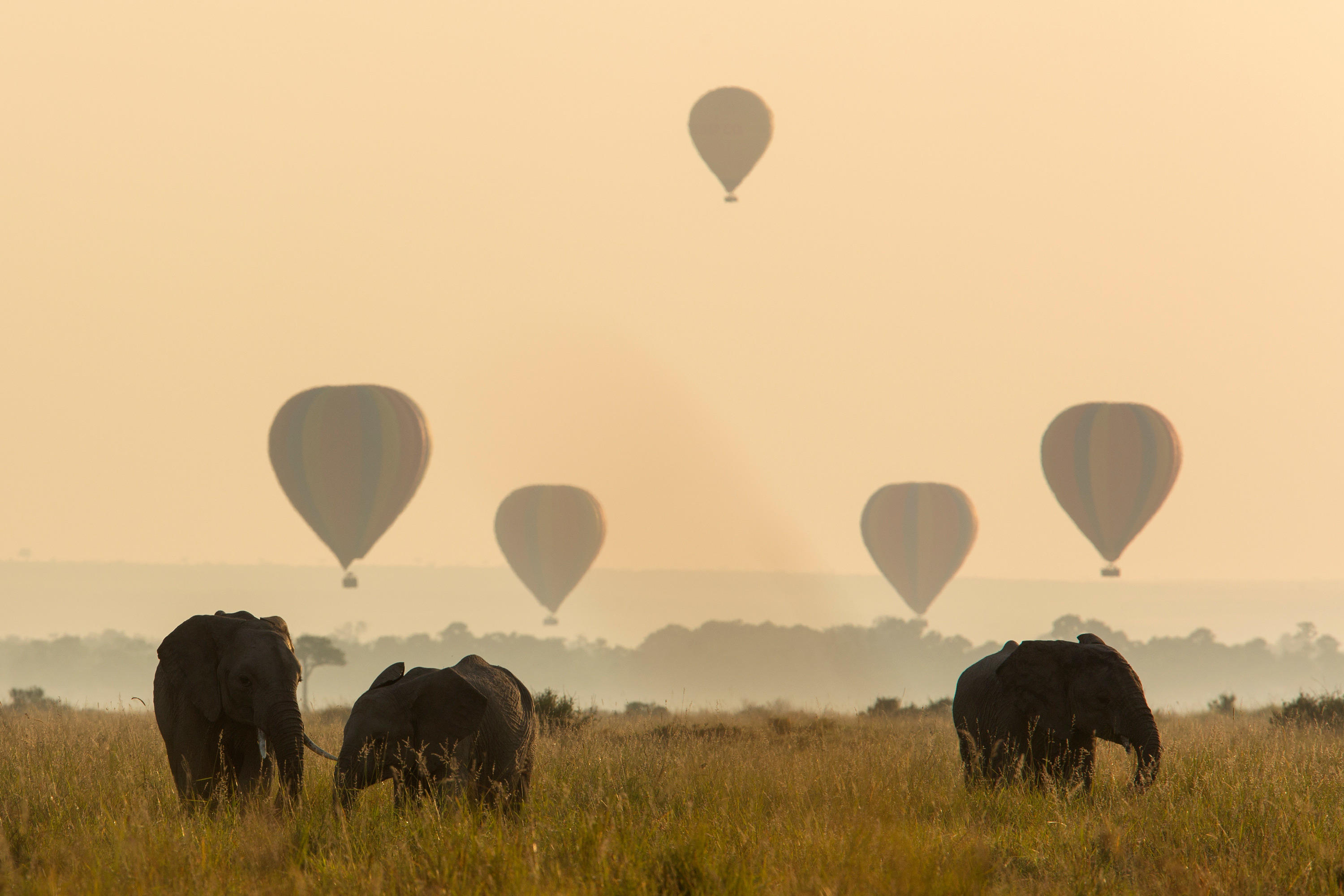 Hot air balloon over Tarangire National Park