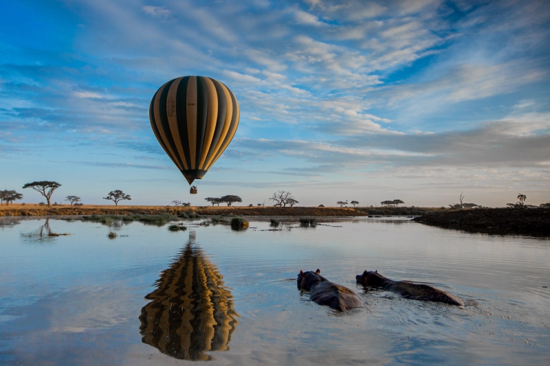 Serengeti Balloon Safari