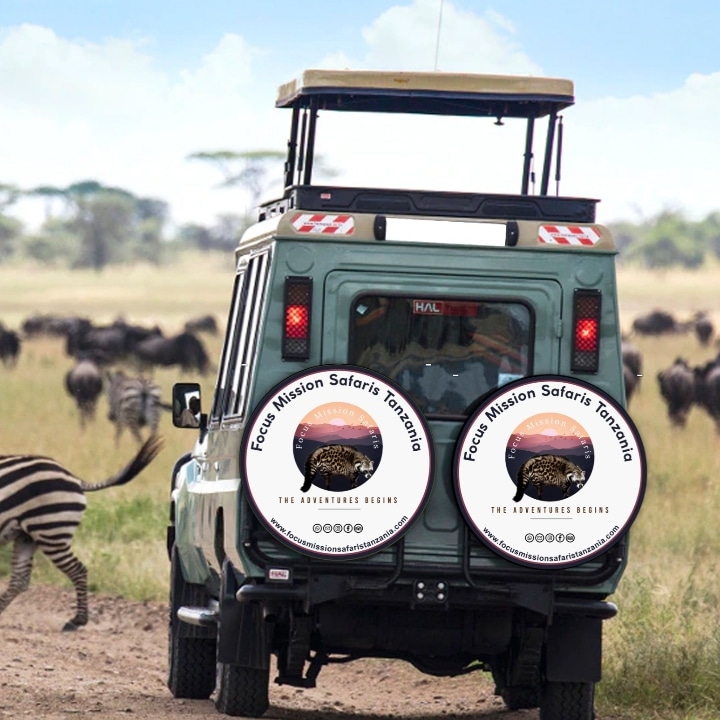 5 Days Group Joining Safari and Materuni Waterfalls