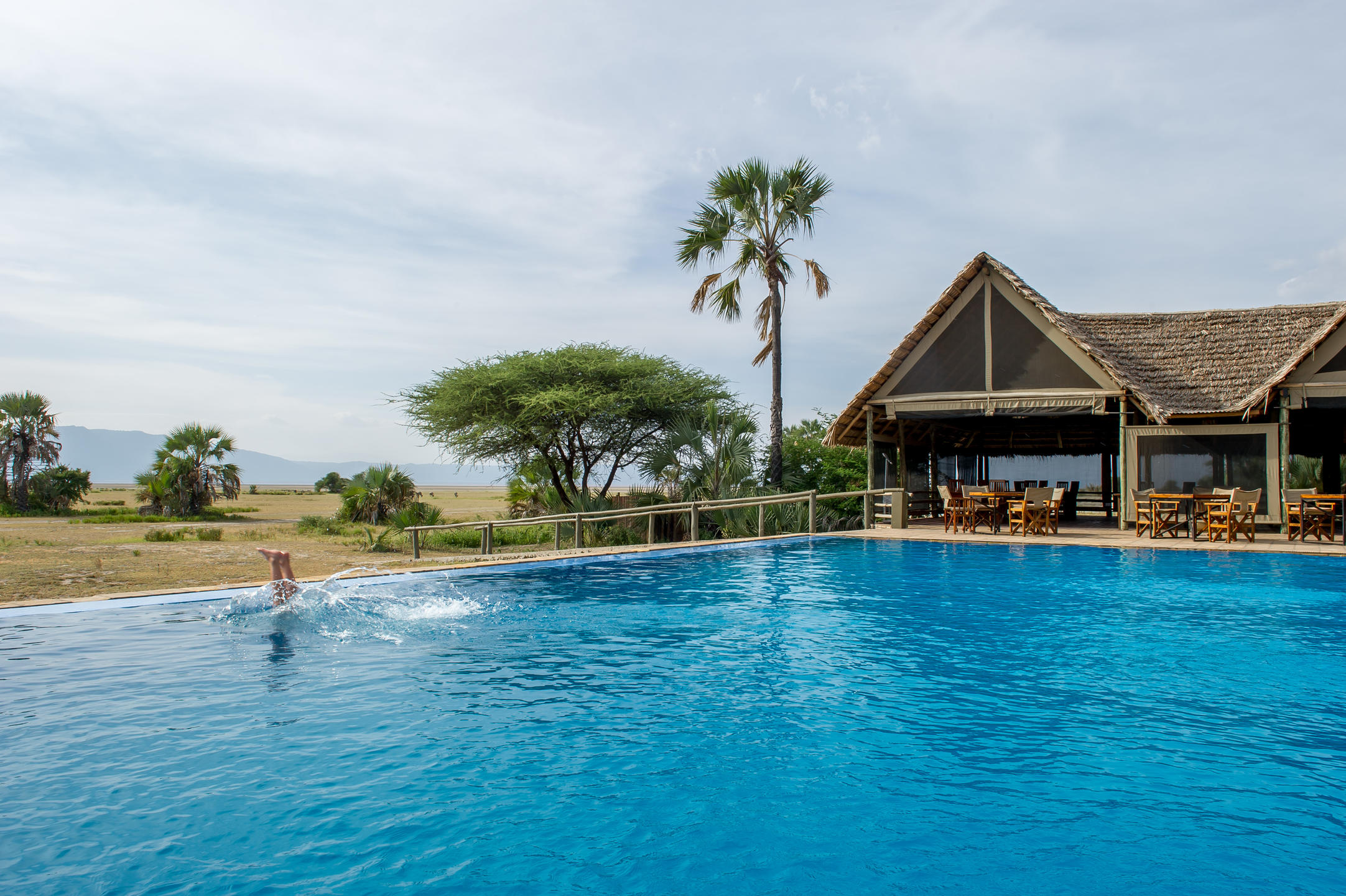 4-Day Safari to Tarangire, Ngorongoro, Arusha & Serval Wildlife