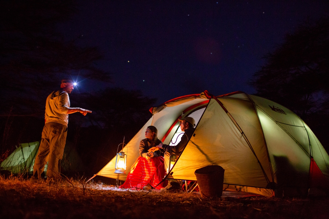 5-Day Safari to Tarangire, Ngorongoro, Arusha & Serval Wildlife