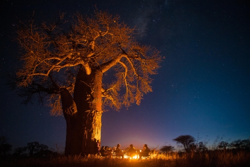 Tarangire & Lake Manyara Safari